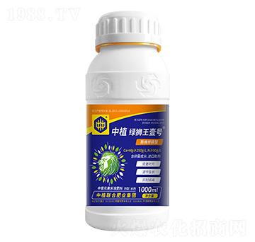 �����ޓp����ֲ�G�{��Ҽ̖-��ֲ(li��n)��