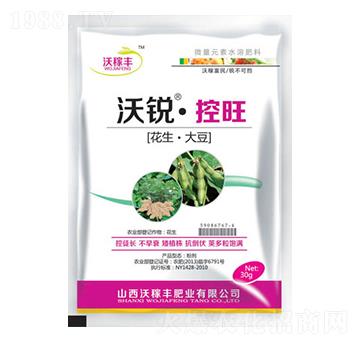 ���J����(������)-�ּ��S�ʘI(y��)