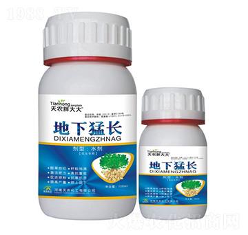(zhun)õL(zhng)-r(nng)ִ-r(nng)