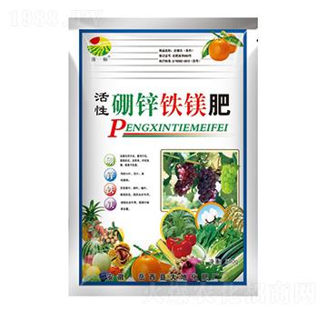800g\FV--ػ