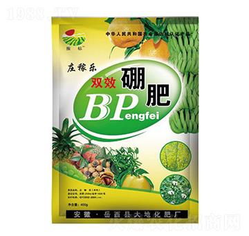 pЧBP--ػ