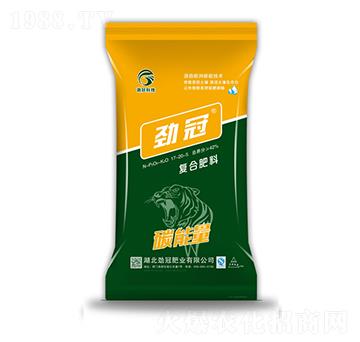 ��(f��)�Ϸ���17-20-5-̼����-�Ź�