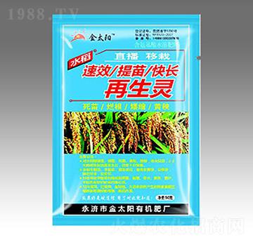 ������L(zh��ng)�����`-�������