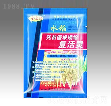 ���罩�����s��(f��)���`-�������