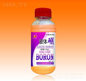 Һ�w��-�������