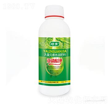 �������-�������