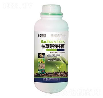 枯草芽孢桿菌-蒼遠(yuǎn)生物