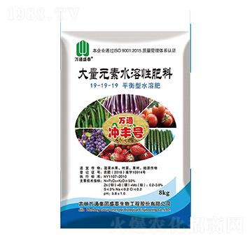 大量元素水溶肥料19-19-19-萬通沖豐號-盛泰生物