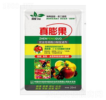 安全性細胞分裂促進劑-真膨果-田俊肥業(yè)