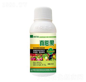 安全性細胞分裂促進劑（瓶）-真膨果-田俊肥業(yè)