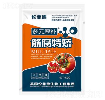 筋腐特矯葉面肥-多元厚補-田俊肥業(yè)