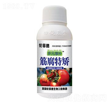 筋腐特矯葉面肥（瓶）-多元厚補-田俊肥業(yè)