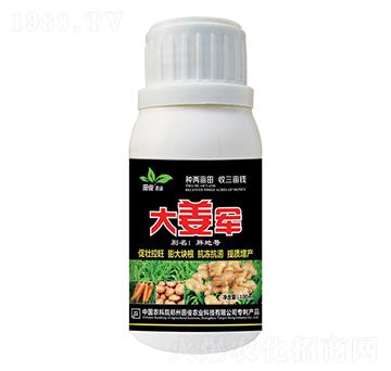 大姜軍-田俊肥業(yè)