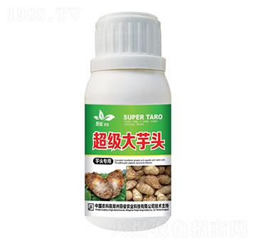 芋頭專用葉面肥-超級大芋頭-田俊肥業(yè)