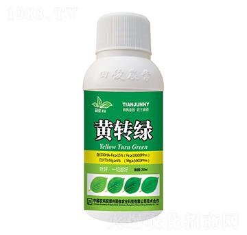 黃轉綠葉面肥-田俊肥業(yè)