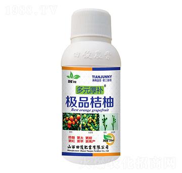 精品桔柚-多元厚補-田俊肥業(yè)