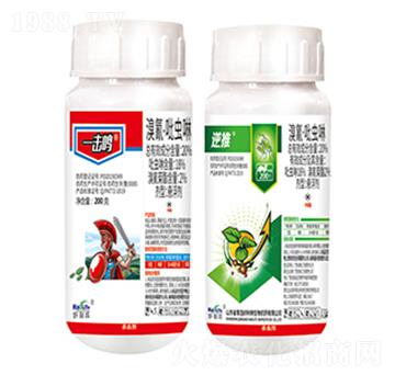 20%衤x-һ