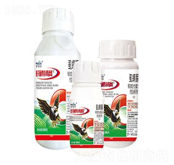 5%ʭ-ضW(wng)