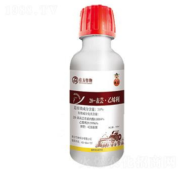 28-�����|̦�؃�(n��i)��-�з�����-�з�����