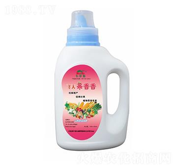 �w�������-�f��˹-�Rķ������