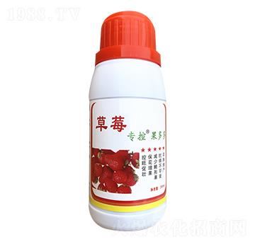 ݮ(zhun)--r(nng)