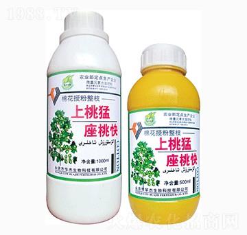 ���������ҿ�-�A������