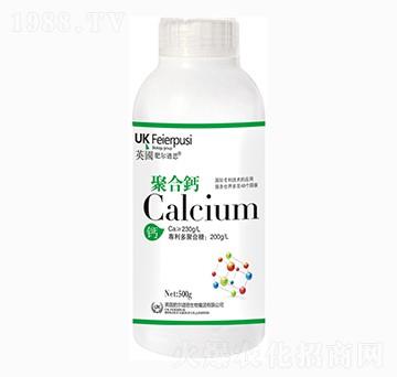 �ۺ��}-�A������