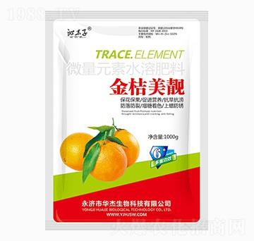 ������n1000g-�A������