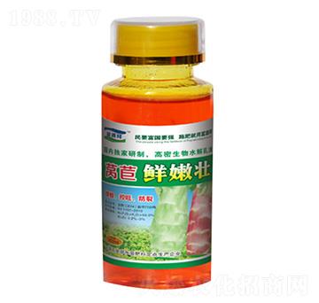 萵苣鮮嫩壯-富源祥