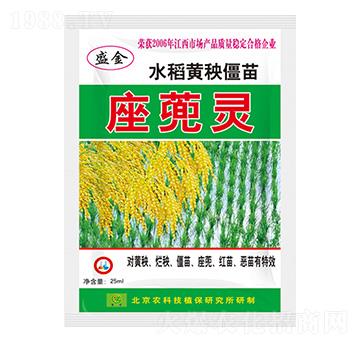 水稻黃秧僵苗-座蔸靈-圣金肥業(yè)