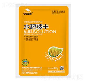水稻控旺抗倒營養(yǎng)劑-水稻矮豐-圣金肥業(yè)