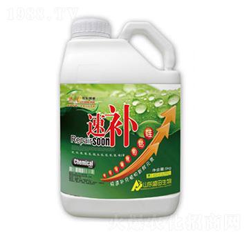 ���a(b��)-ʢ������