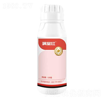12%ѡx(chng)-