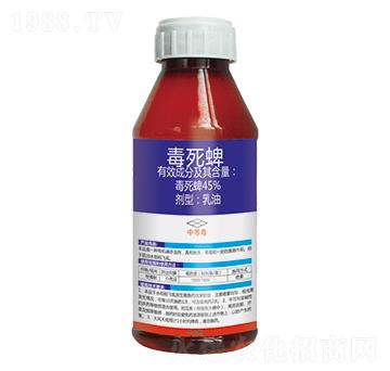 45%-_-(yu)_