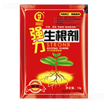 強(qiáng)力生根劑-白市化工