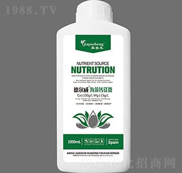 ��?t��ng)��������}�V΢-������-��˼�D