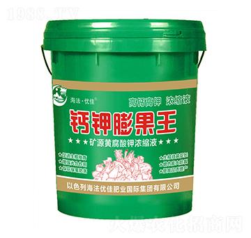 礦源黃腐酸鉀濃縮液-鈣鉀膨果王-海法優(yōu)佳