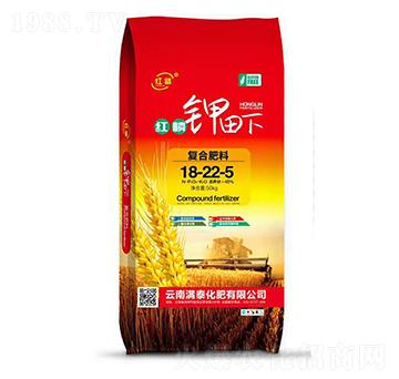 �t�������(f��)�Ϸ�18-22-5-�M̩����