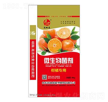 ٌ(zhun)΢-˼ض