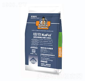 ֲ���⛺����w��-һ������(l��i)