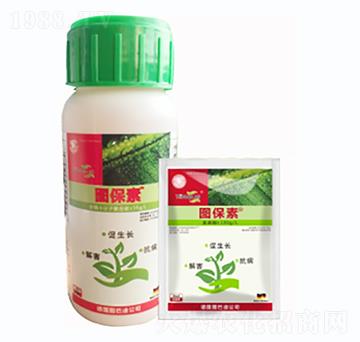 ֲ����������T�����-�D����-�D�͵�