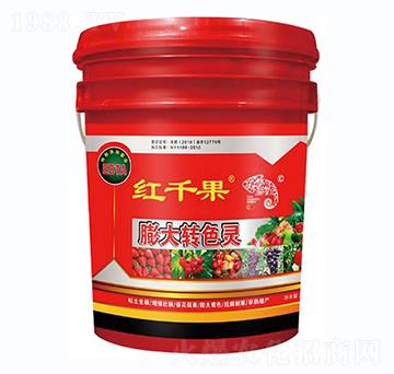 D(zhun)ɫ`-tǧ-