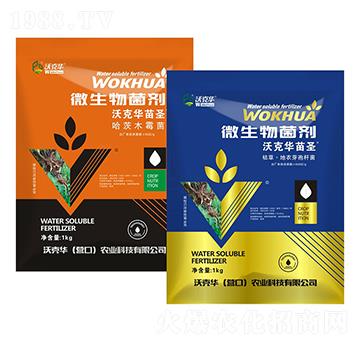 沃克華苗圣微生物菌劑-沃克華