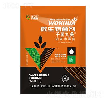 千菌丸美微生物菌劑-哈茨木霉菌-沃克華