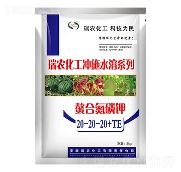 ϵ20-20-20+TE-r