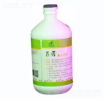 500ml苜蓿根瘤菌劑液體-華創(chuàng)佳農(nóng)