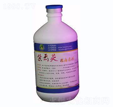 500ml紫云英根瘤菌劑液體-華創(chuàng)佳農(nóng)