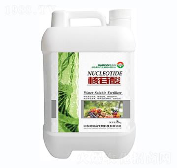 ������-ʩ�۸�