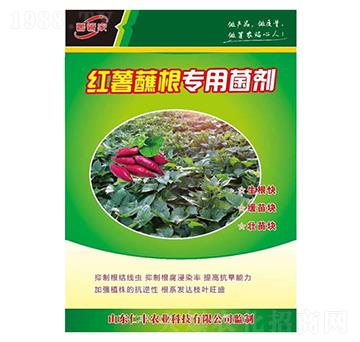 tպ(zhun)þ-Sr(nng)I(y)