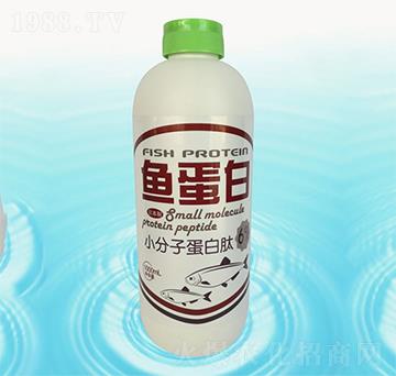 �~����-�{���r(n��ng)��